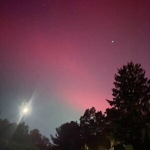 Meet your Posher, Lia